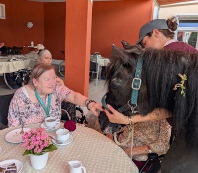 Ponybesuch auf unserer Terrasse – Bild 9